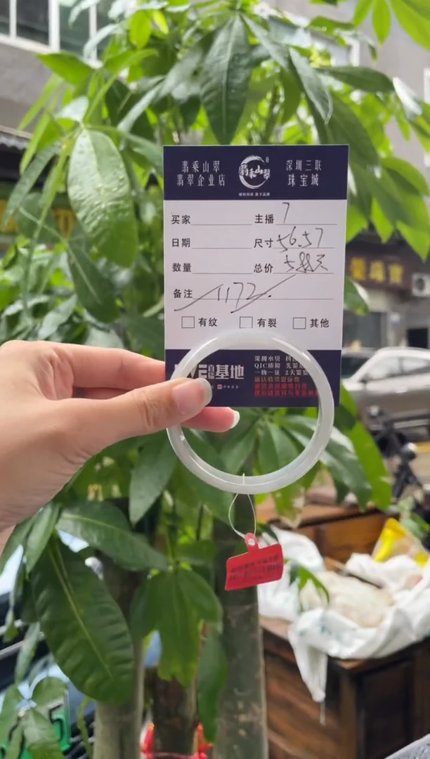 未镶嵌手镯翡翠Q 56正圈  1172