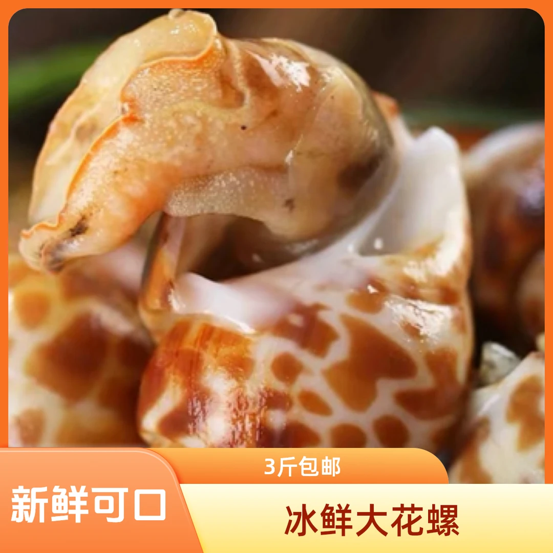 冰鲜大花螺2斤40到50粒精品