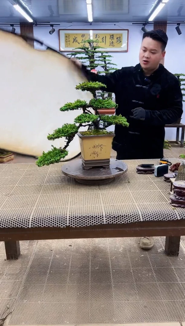 【闪购商品】00000000