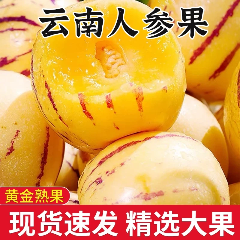 y【现摘现发】正宗云南人参果当季新鲜水果消暑清甜多汁圆大皮薄