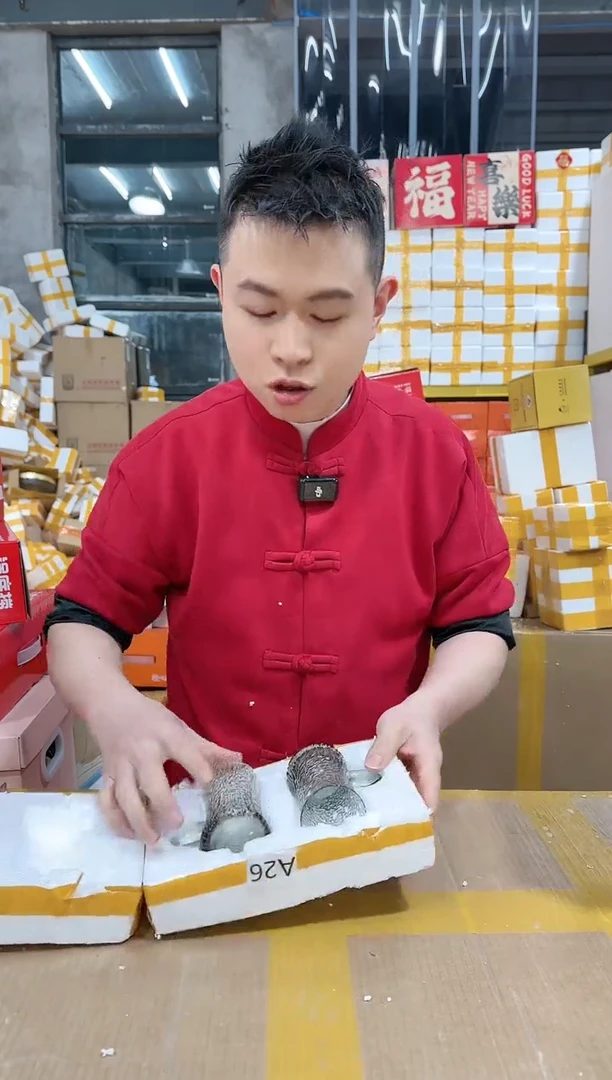 【闪购商品】NS-A26（破损退款不补发介意勿拍）