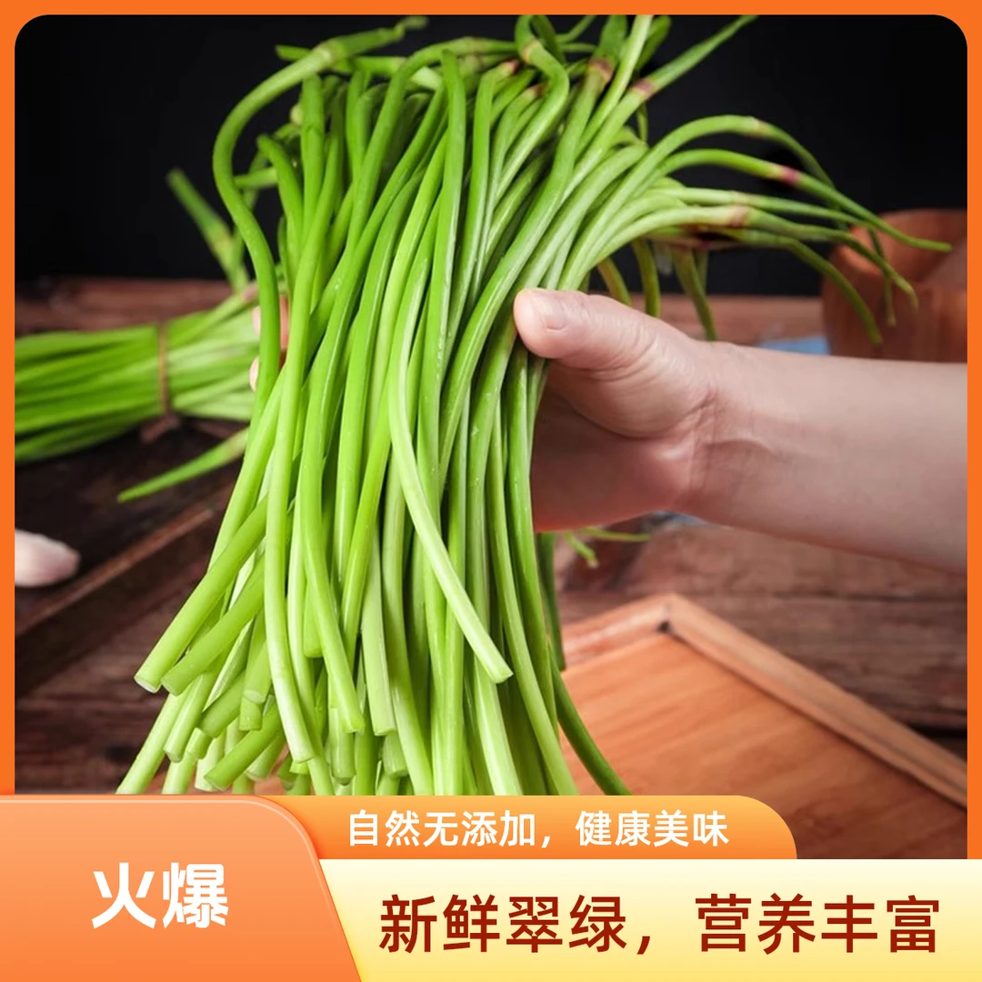 【农场发货】3斤新鲜蒜苔脆嫩蒜薹当季农家蔬菜短细蒜苔蒜苗