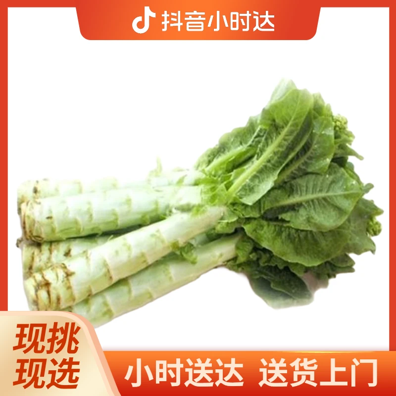 莴笋 600-800g