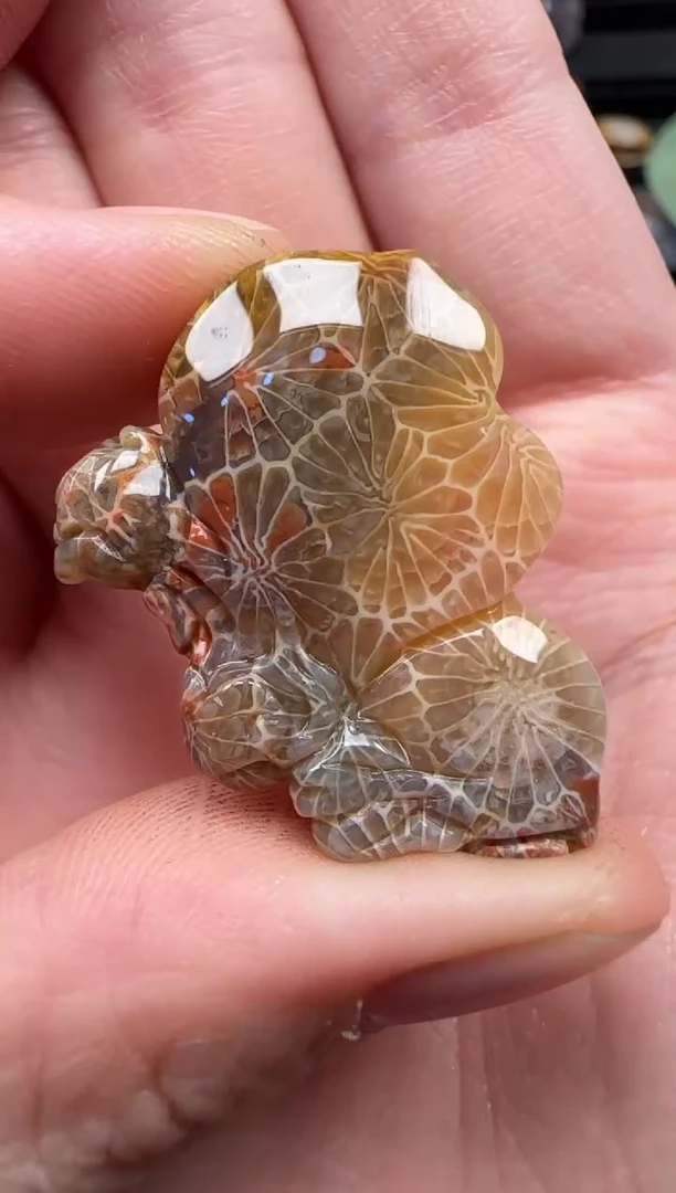 颈饰未镶嵌硅化珊瑚（珊瑚玉）162