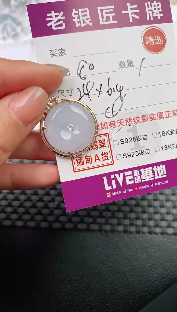 翡翠银S925镶嵌颈饰·