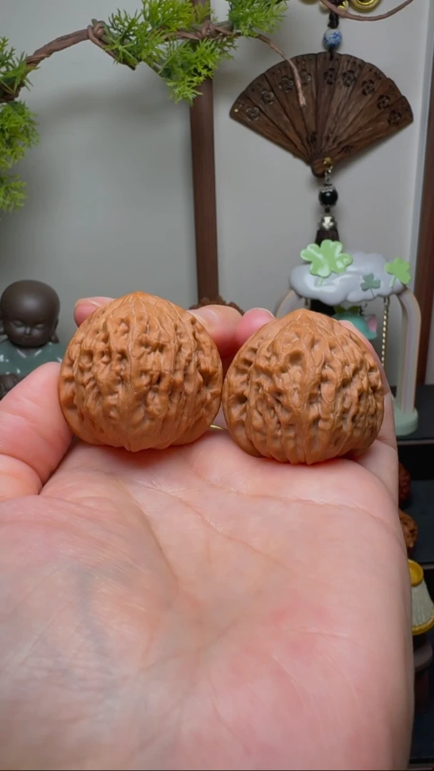 文玩核桃把件铁锤货头 边36