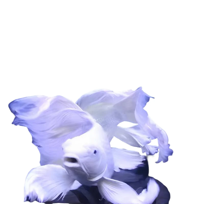 客户定制产品111