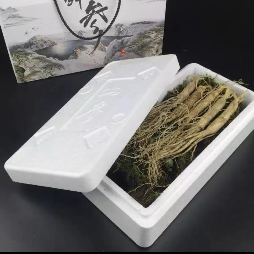 专属东北长白山鲜挖鲜参礼盒装送礼
