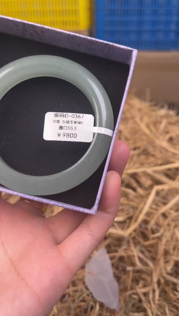 未镶嵌手镯石英质玉编码D0367
