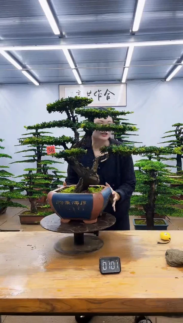 无花朵一物一拍，所见即所得