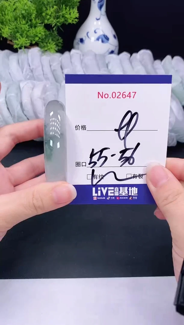 未镶嵌手镯翡翠2647
