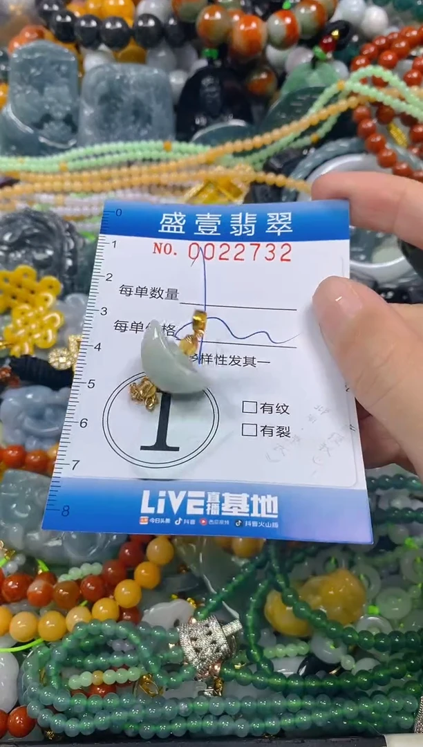 颈饰未镶嵌翡翠闪购0022732