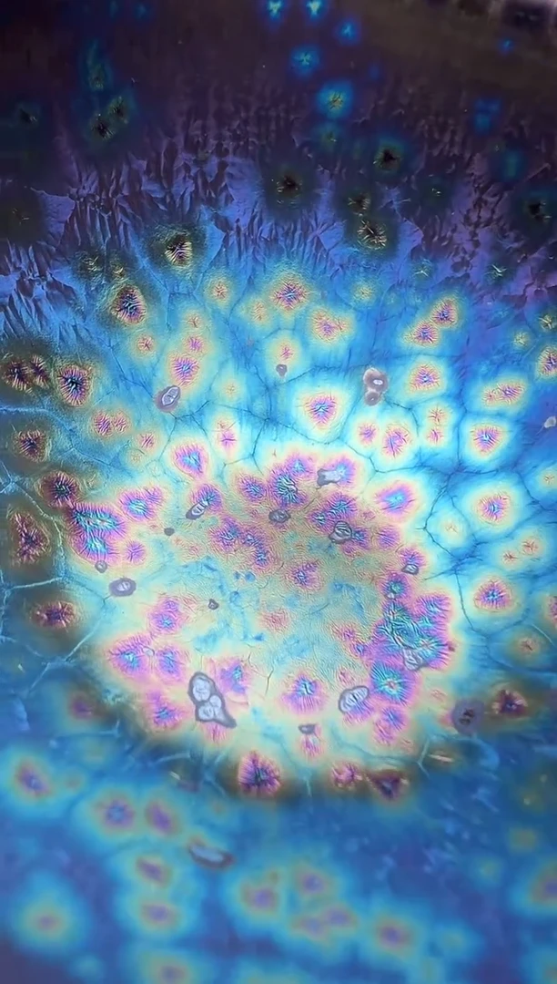 茶盏漫天星 盏三疯建盏茶器
