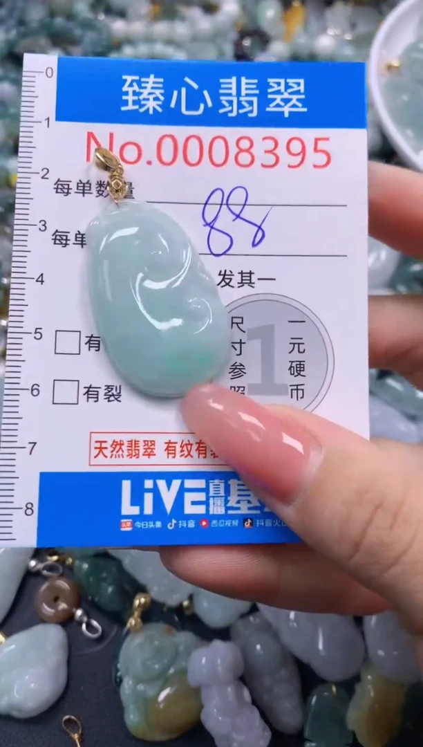 翡翠未镶嵌颈饰8395