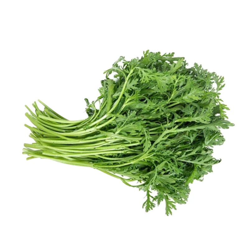 精品茼蒿约300克