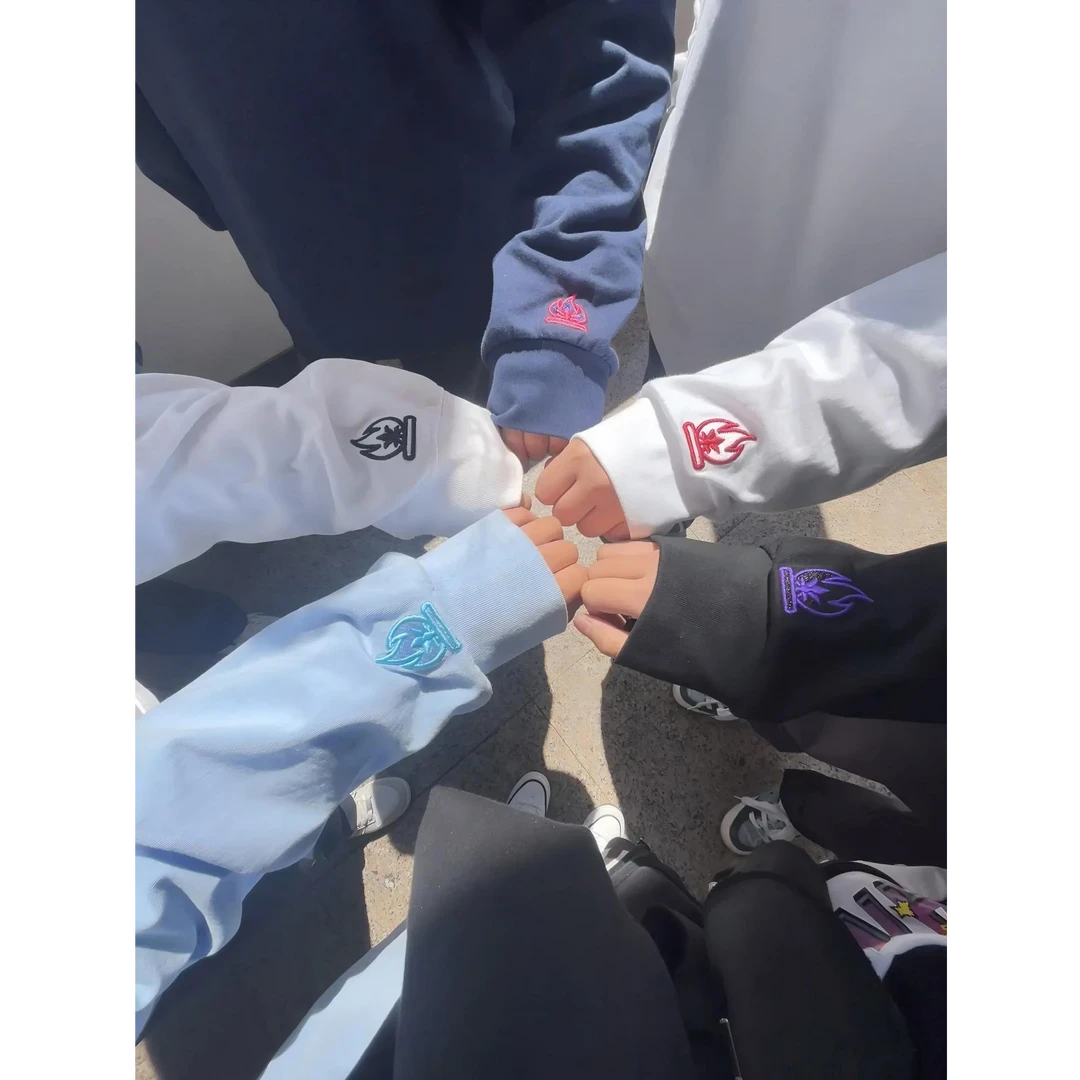 LIGGICC小火苗刺绣卫衣男秋冬小领口长袖T恤美式高街重磅男生上衣