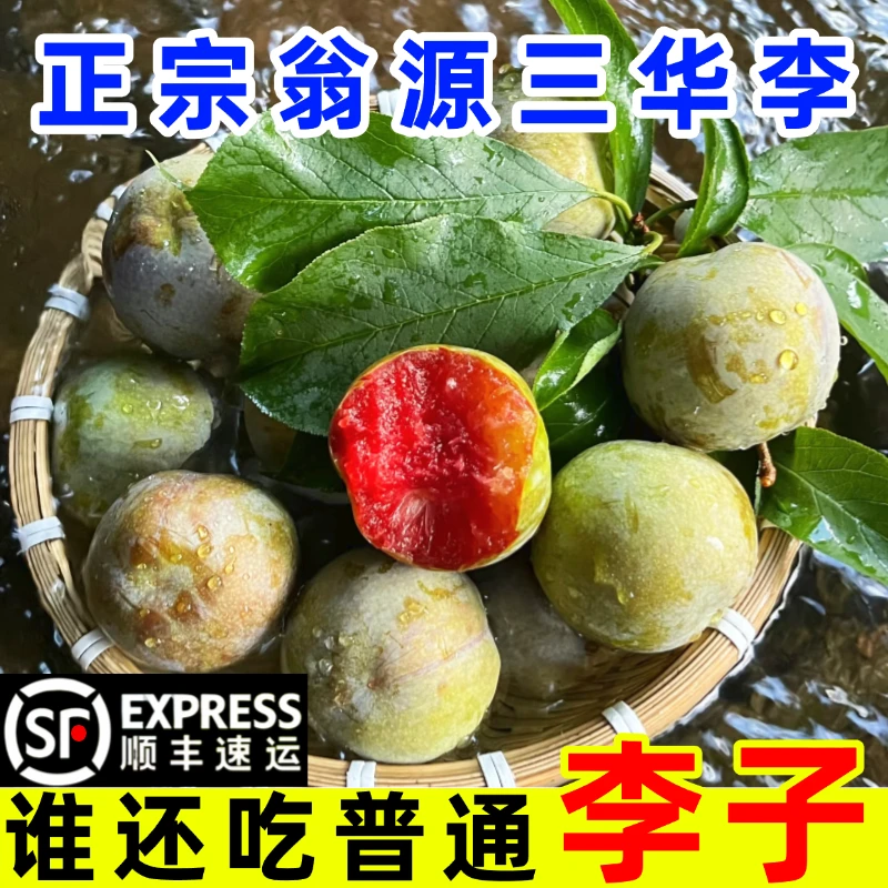韶关三华李翁源特产新鲜红心李子现摘孕妇脆甜水果顺丰包邮