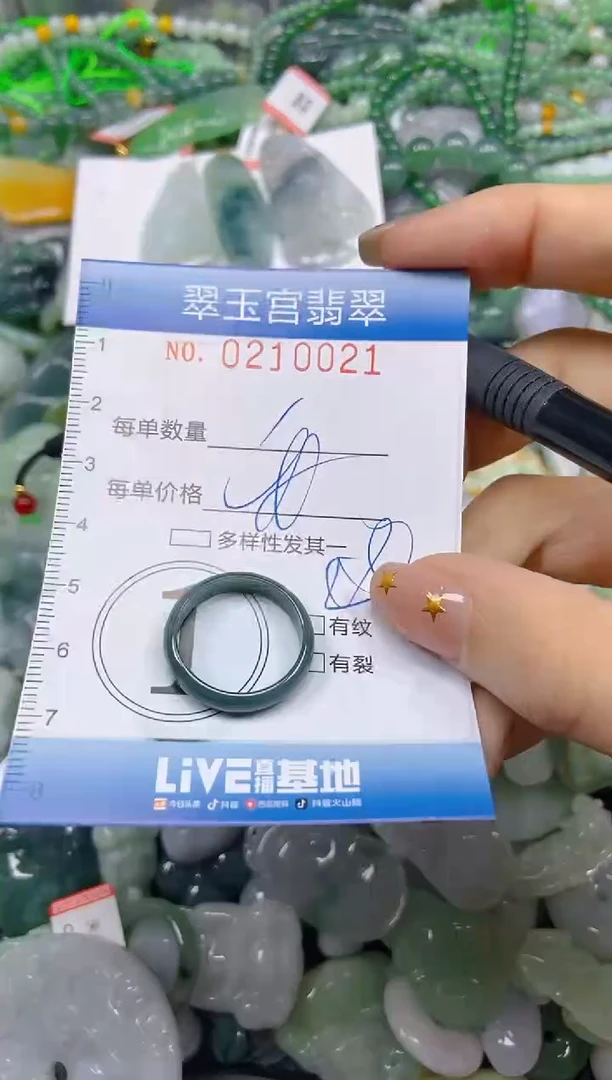 颈饰未镶嵌翡翠闪购C0210021