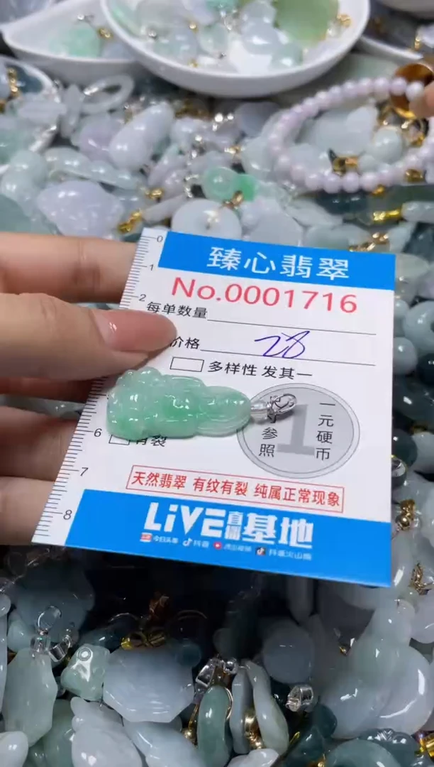 颈饰未镶嵌翡翠1716