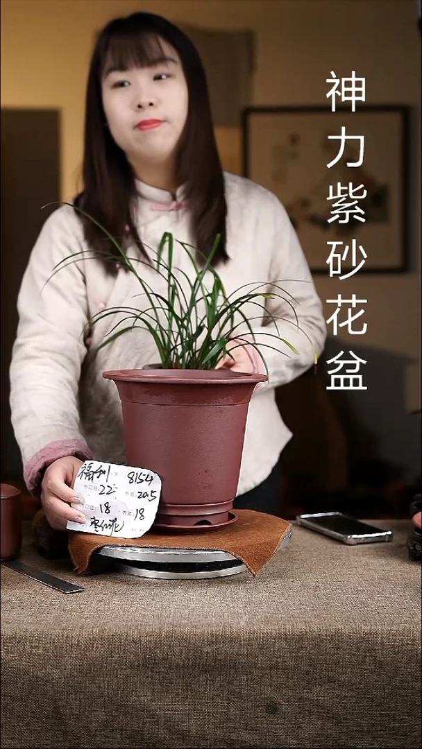 紫砂花盆紫砂花盆8154+z