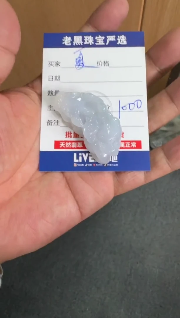 【闪购商品】翡翠颈饰未镶嵌翡翠