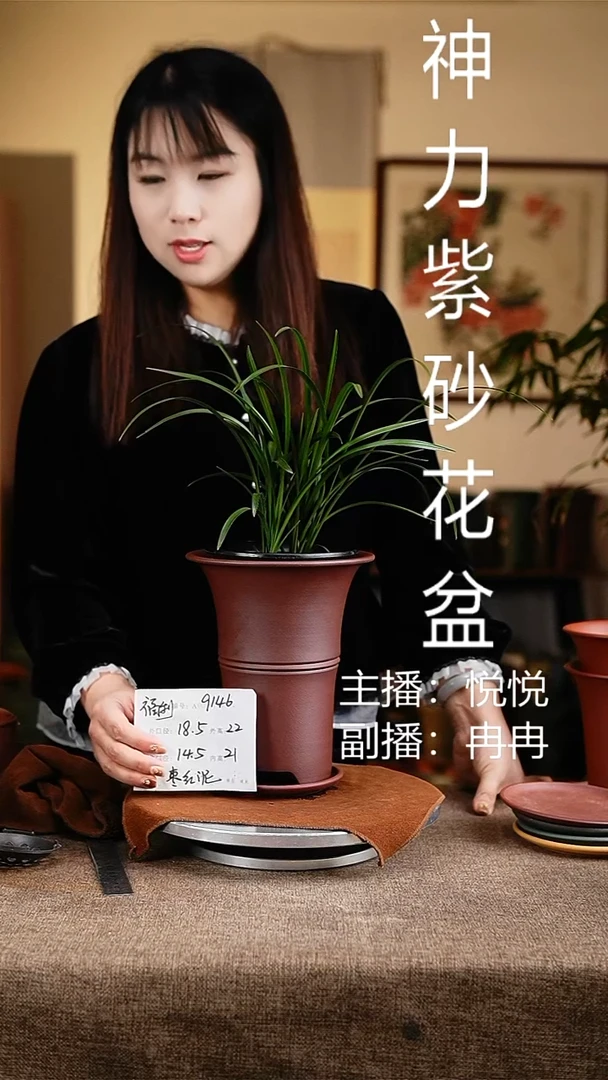 紫砂花盆花卉工艺9146+z