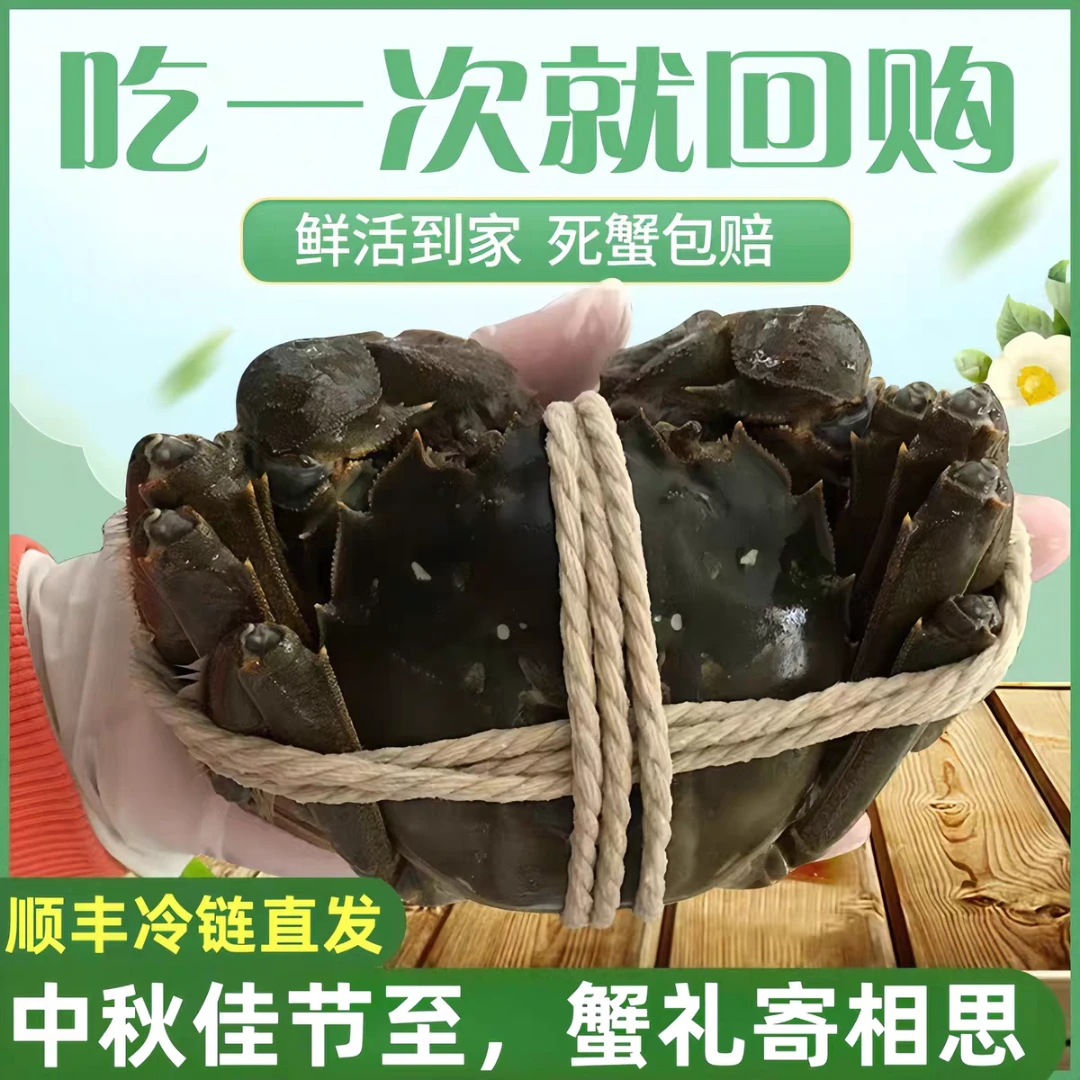 活蟹 -江苏精品河蟹螃蟹新鲜活蟹现捕捞顺丰包邮当日发次日达2.0-1.7两 公蟹4只+母蟹4只