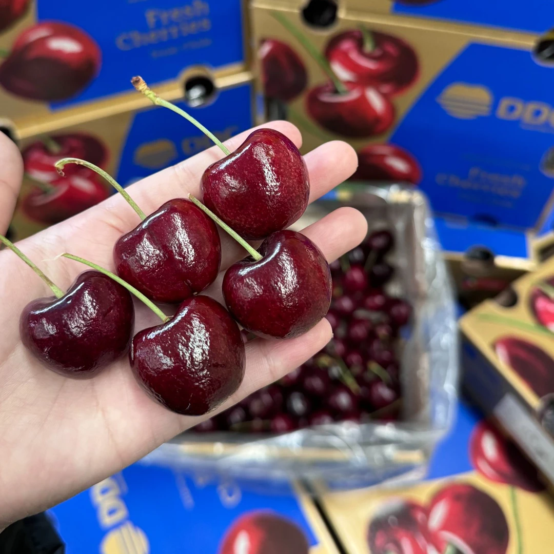 【DDC】Labins拉宾斯 海运车厘子 硬脆甜 2JD原箱5斤