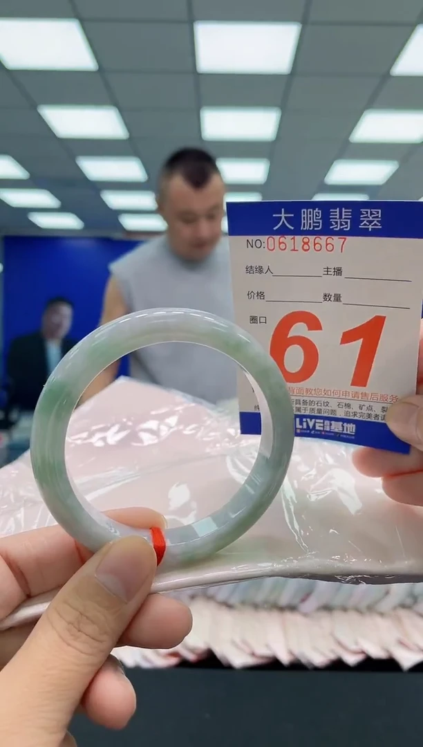 未镶嵌手镯翡翠AAAAAAAAA