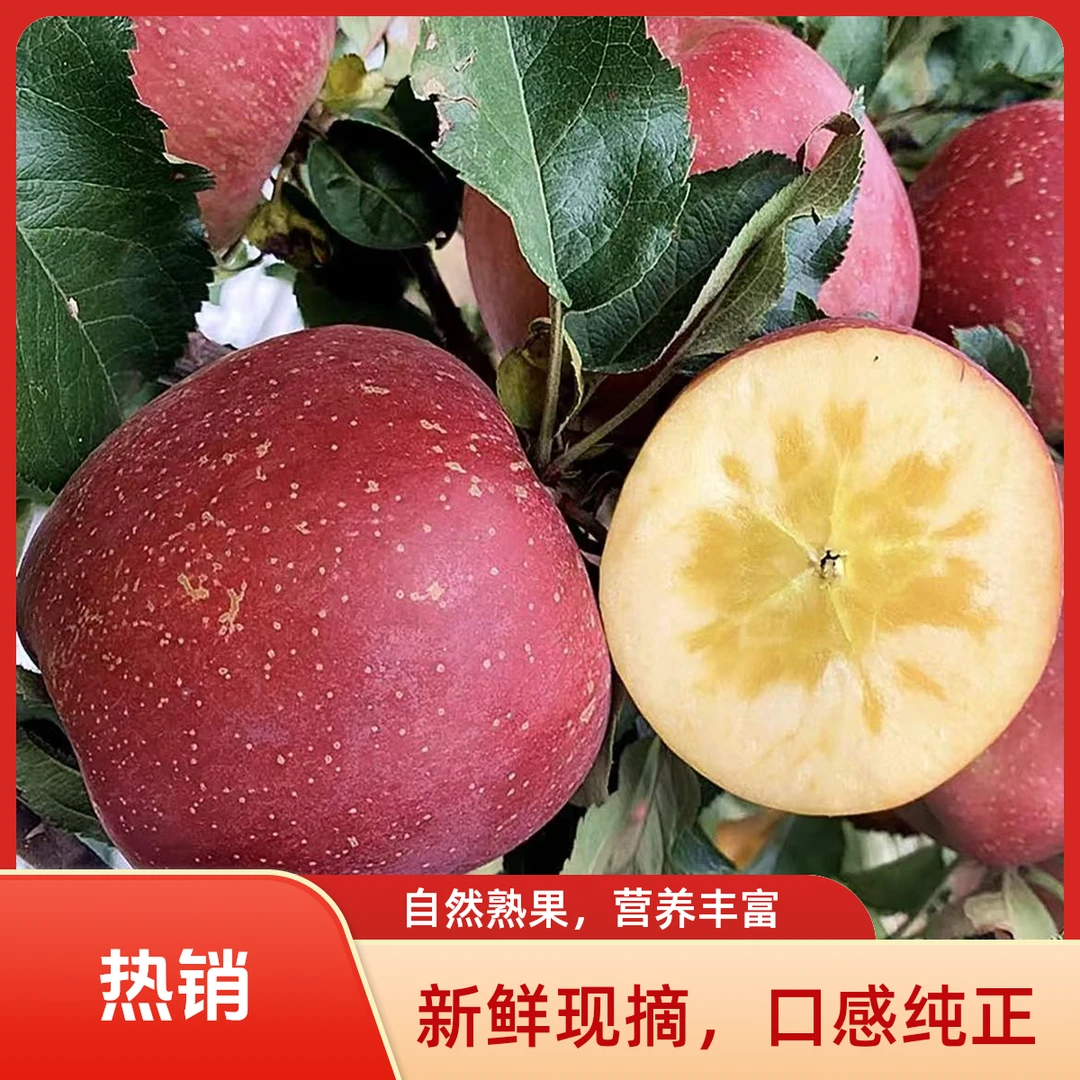云南昭通红富士樱桃小苹果新鲜现摘脆甜多汁当季新果