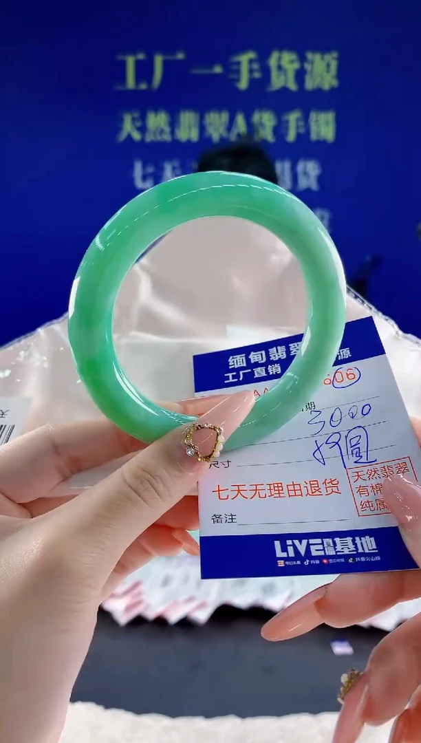 未镶嵌手镯翡翠06