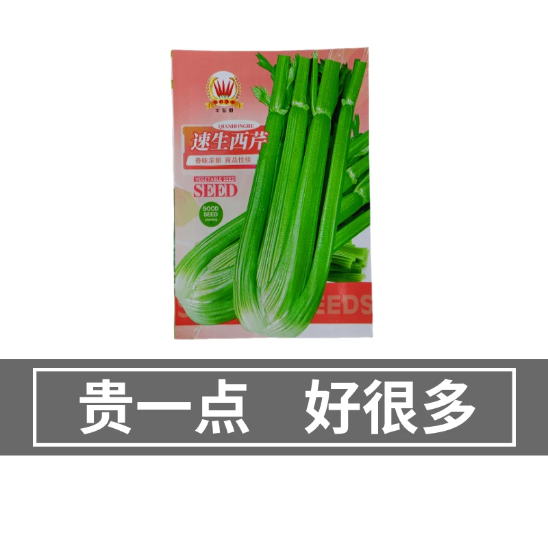 优质速生西芹种子  阳台盆栽庭院四季蔬菜种籽农家小院播种大全