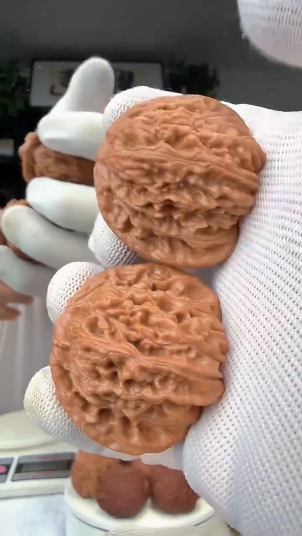 把件龙脊菩提在**✨030 四座楼