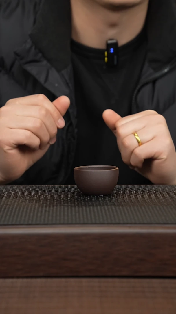 【闪购商品】紫砂茶壶源头精品手工作品31423