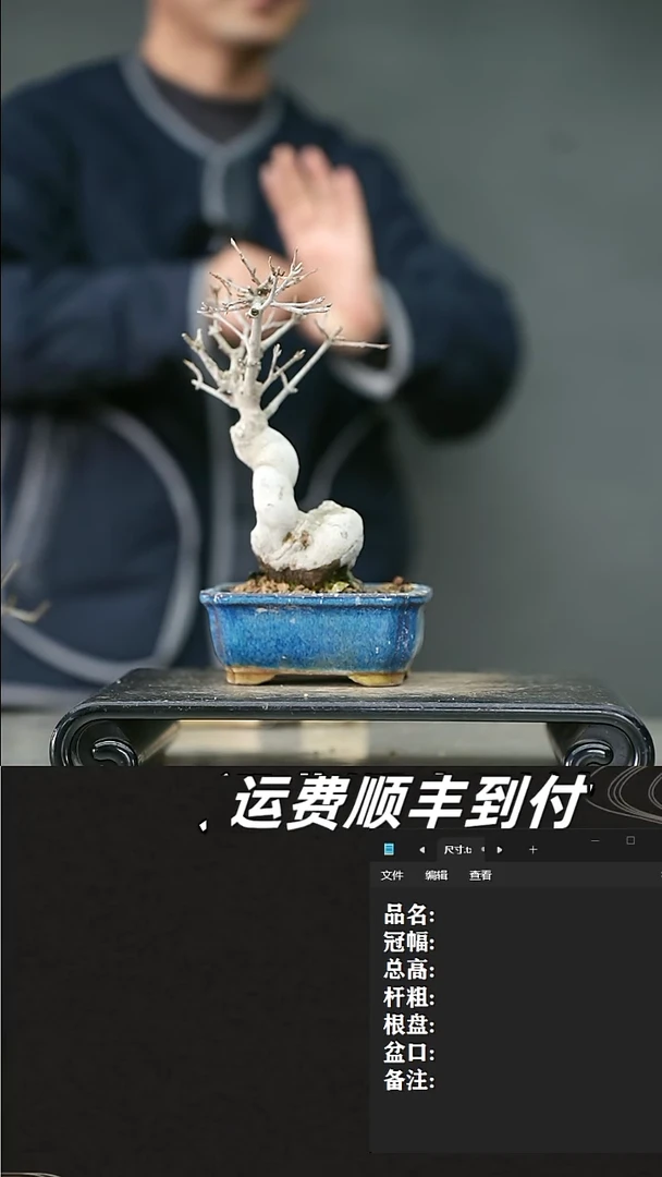 【闪购商品】95唐枫