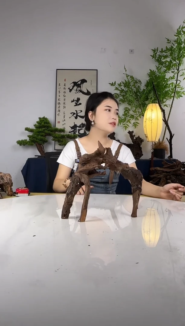 小*拍这个定向编号16