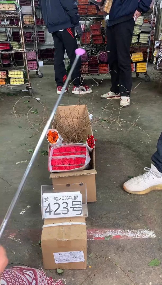 423号♥中通含20%耗损发一箱鲜花
