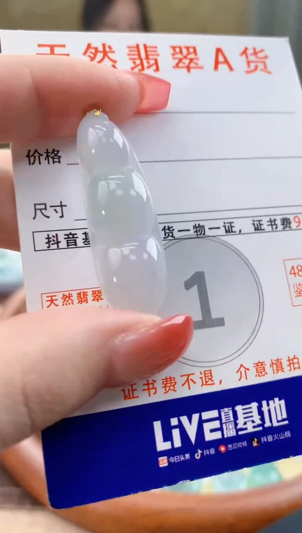 颈饰未镶嵌翡翠 天然A货翡翠挂件