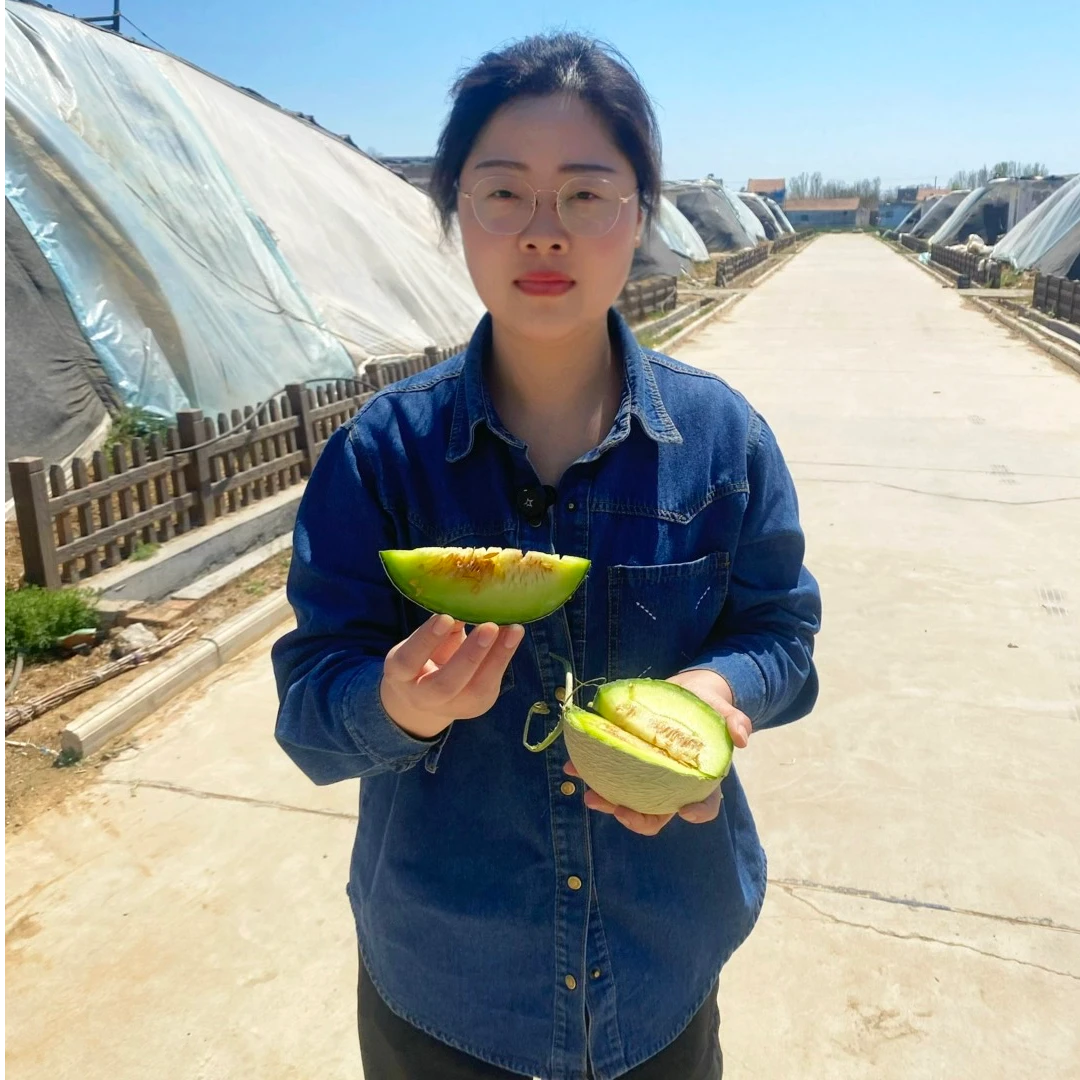 【山东网纹瓜】现摘果香哈密瓜产地直发香甜可口