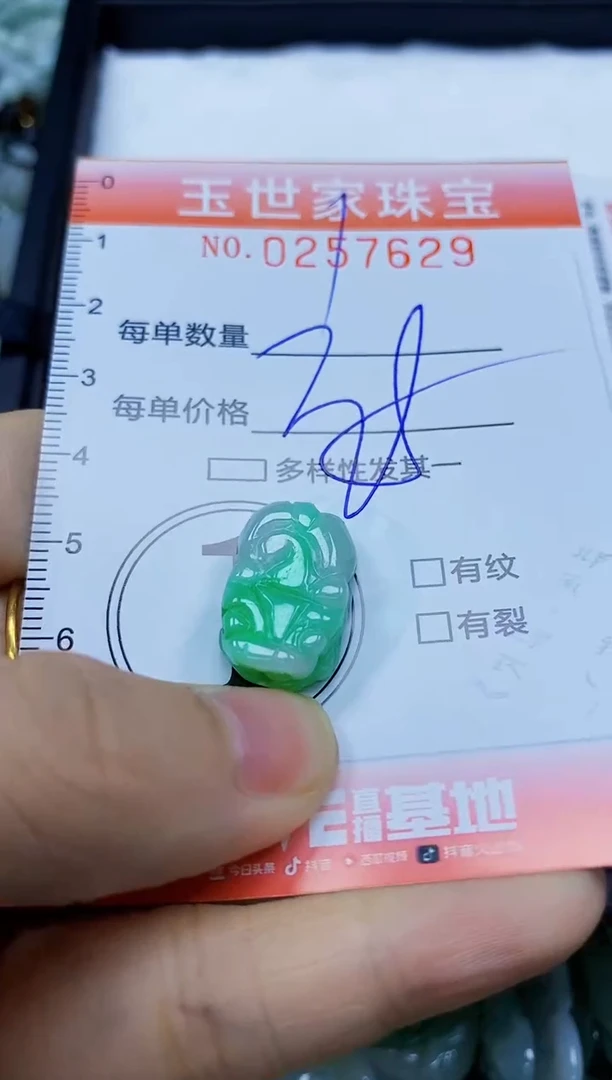 翡翠未镶嵌颈饰闪购0257629