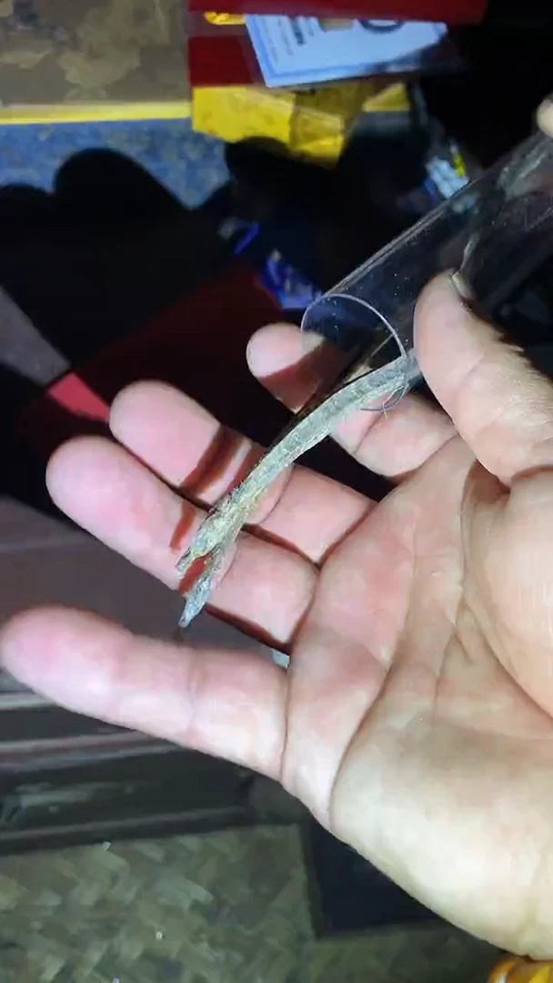 木56啊啊啊啊啊啊啊啊啊啊