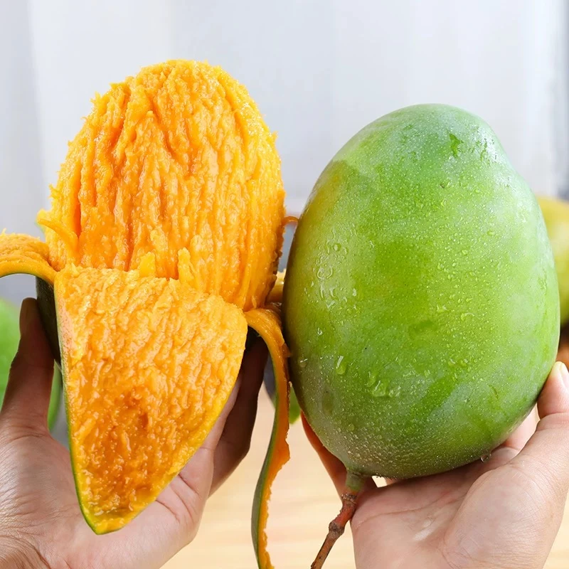 红凯特芒果约800g