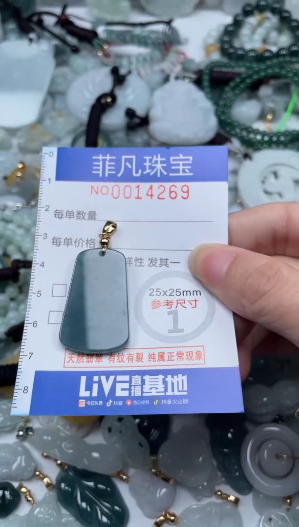 颈饰未镶嵌翡翠14269