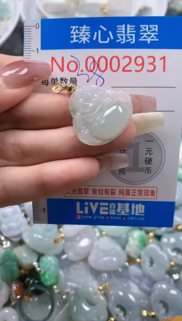 翡翠未镶嵌颈饰含绳0002931