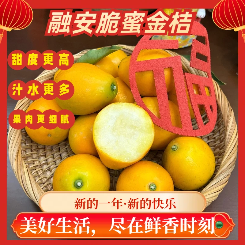 桔良人拍3斤送1斤*【融安三代脆蜜金桔】顺丰包邮*纯甜不酸店铺福利
