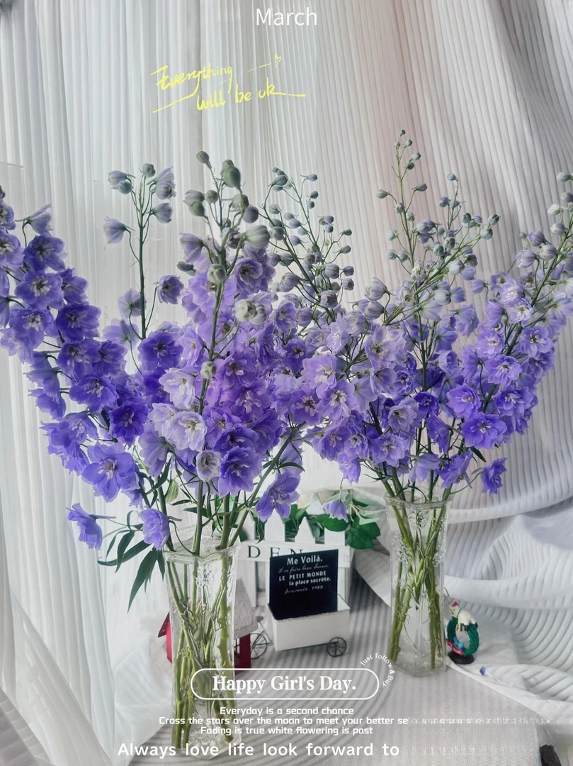 两单包邮！大飞燕【随机两个颜色】