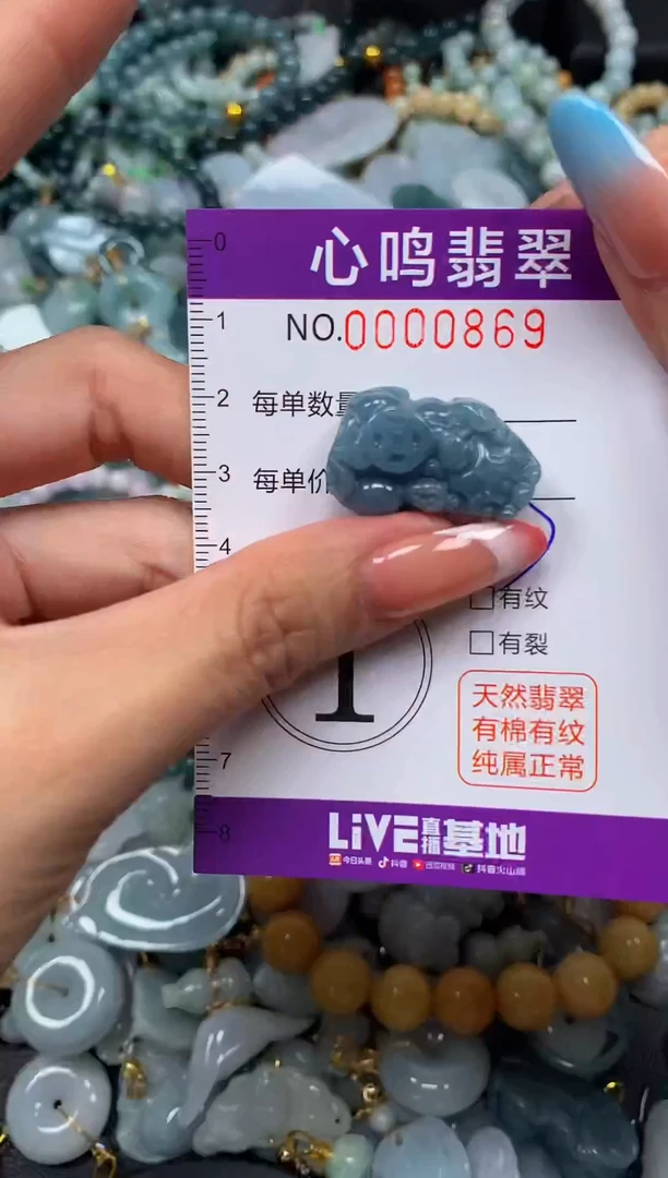 翡翠未镶嵌颈饰闪购00869