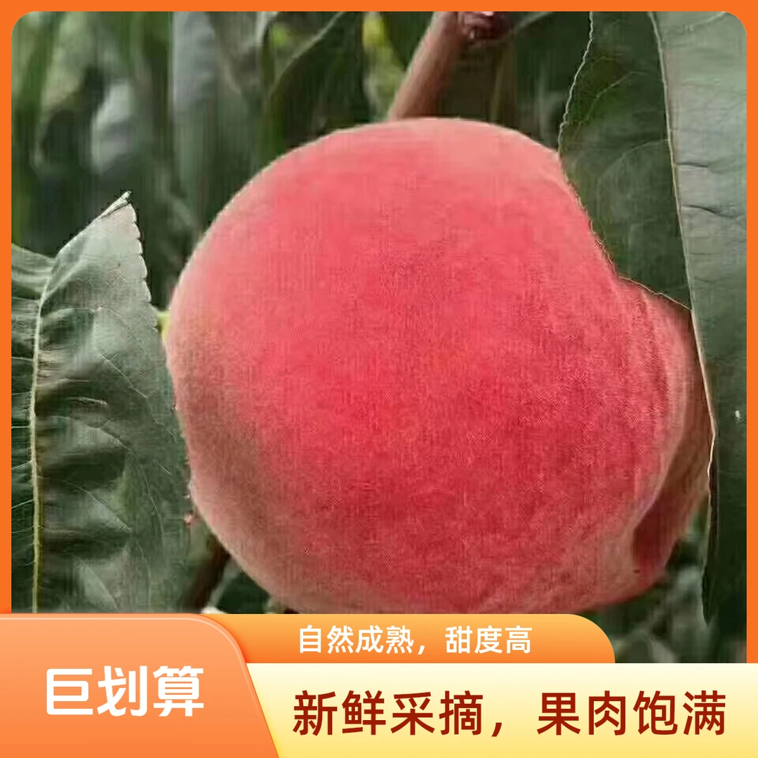 平谷大桃 久保桃 山区种植 顺丰包邮 甜美可口北京市