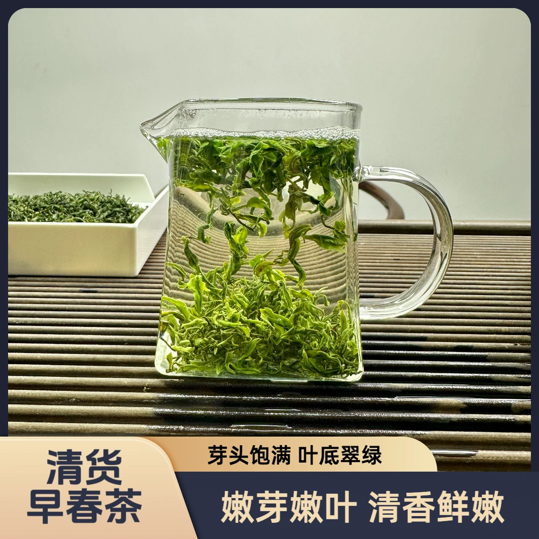 安大陆清货活动春茶2025新茶正宗日照绿茶露天春茶豌豆香豌豆鲜