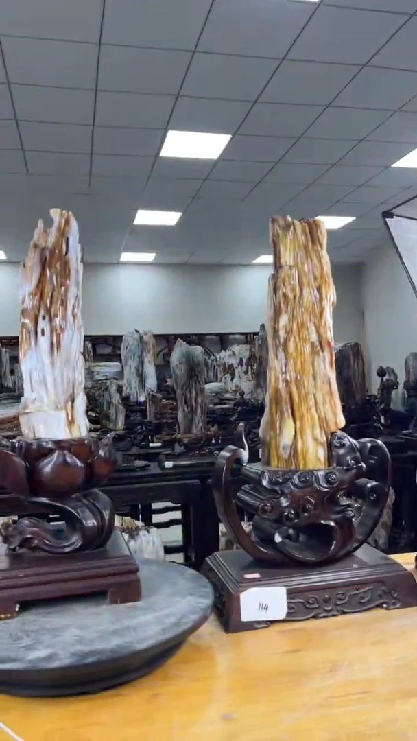 【闪购商品】硅化玉珠宝奇石未镶嵌1